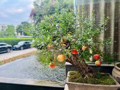 -茅庐·川粤精品私房菜(金沙遗址店)