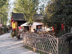 -合肥滨湖国家森林公园