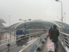 -吴淞口国际邮轮码头-停车场