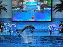 -海合安成都极地海洋公园
