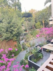 -宝生月子中心(独栋园林·福田店)