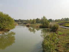 -梁鸿国家湿地公园