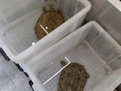 -善银私房菜馆(金舟花园小区店)