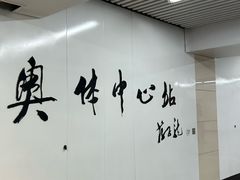 -奥体中心(地铁站)