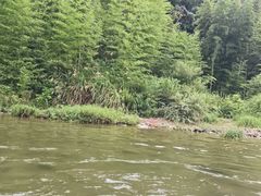 -千岛湖九龙溪漂流