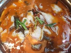 -朝阳酸菜鱼休闲餐厅