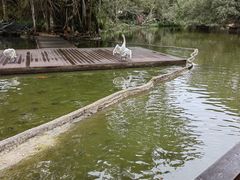 -海南热带野生动植物园