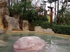 -天目湖涵田半山温泉