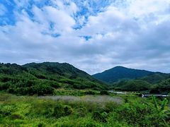 -广州市流溪河国家森林公园