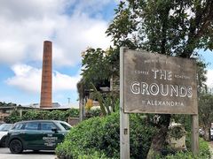 -The Grounds of Alexandria