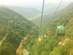 -王顺山国家森林公园