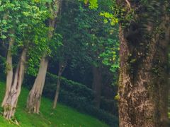 -白云山索道-售票处