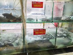 -干老四雅鱼饭店(滨江西路店)