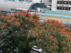 -守田肩颈·推拿SPA(颐豪旗舰店)