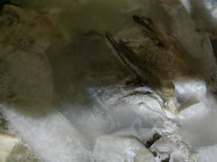 -鱼乐岛餐厅·户外花园主题餐厅