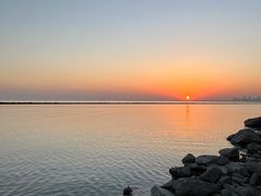 -合肥滨湖国家森林公园