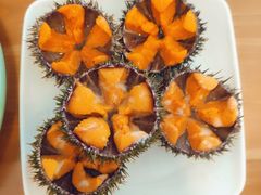 -海胆小馆(东北水饺·春柳店)