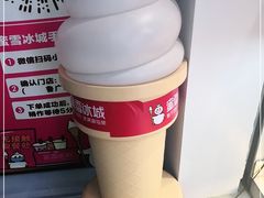 -蜜雪冰城(大智路店)