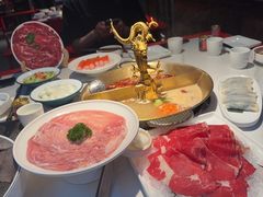 -小龙翻大江文化火锅(宽窄店)