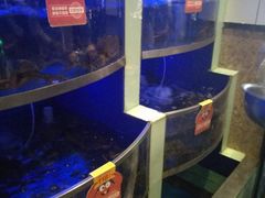 水产区-七欣天香辣蟹火锅(苏州东大街店)