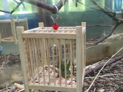 -上海昆虫博物馆