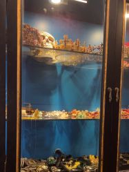 -鼎极摄影(蓝色港湾店)