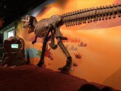 -北京科学中心儿童乐园