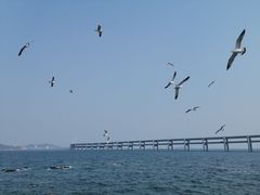 -黑石礁公园