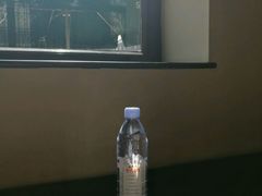 -星巴克臻选(北京前门大街店)