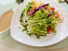 沙拉大拌菜-西安烤鸭店(369烤鸭王店)