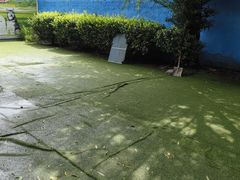 -宠物寄养训练学校