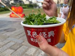 -黑色经典臭豆腐·湖南特产(坡子街店)