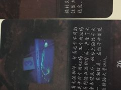 -好玩工厂密室·鹅鸭杀·桌游拼豆电玩