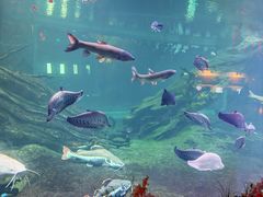 -华夏文旅海洋公园