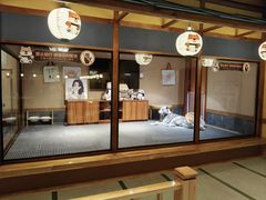 -大江户·温泉洗浴(浑南店)