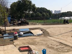 -胜丰草莓采摘园