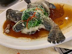 -荔城生鲜盛宴(番禺旗舰店)