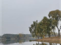 -东郊湿地公园