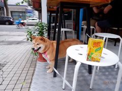 -小梁哥云吞面(黄贝岭店)