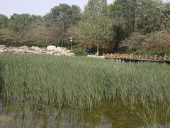 -云岗森林公园
