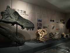 -自贡恐龙博物馆