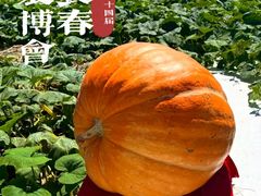 -长春农业博览园