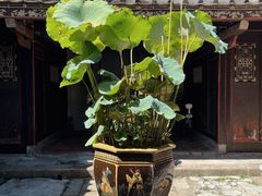 -载阳客栈