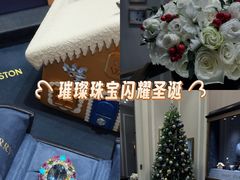 -Harry Winston 海瑞温斯顿