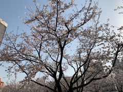-龙美术馆(西岸馆)