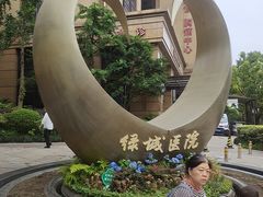 -浙江绿城心血管病医院