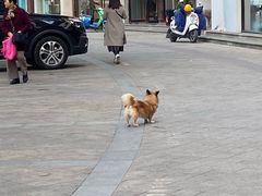 -里兆打面馆