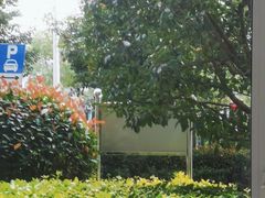 -泰康之家·申园