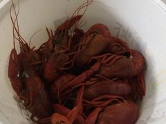 -巴厘龙虾·榜首油焖大虾(音乐学院·沿江酒馆店)