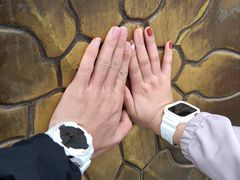 -龙口南山旅游景区